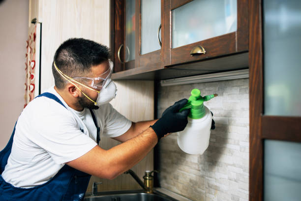 Best Residential Pest Control  in Jekyll Island, GA