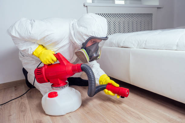 Best Pest Control for Businesses  in Jekyll Island, GA