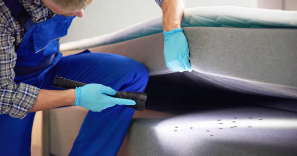 Best Pest Prevention Services  in Jekyll Island, GA