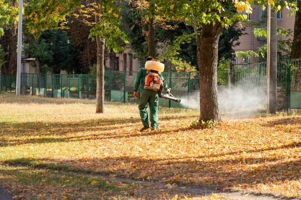 Best Affordable Pest Control Services  in Jekyll Island, GA