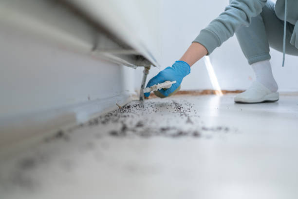 Best Emergency Pest Control  in Jekyll Island, GA