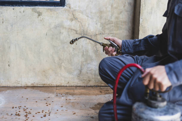Best Termite Control Services  in Jekyll Island, GA